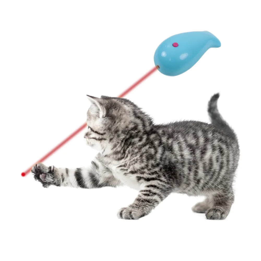 Laser Cat Toy Indoor Training And Chaser Toys For Cats