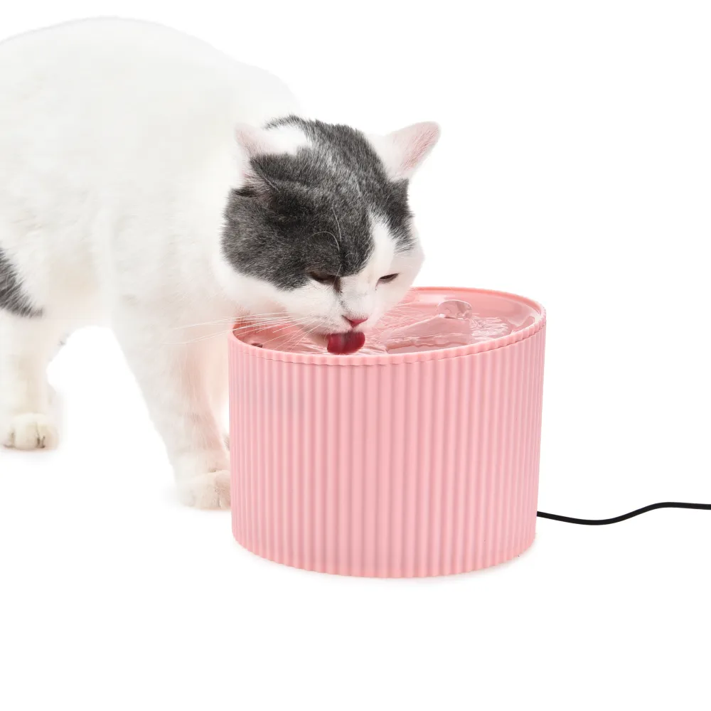 2L Cat Water Dispenser With Pet-Friendly 5 Degree Tilt Angle